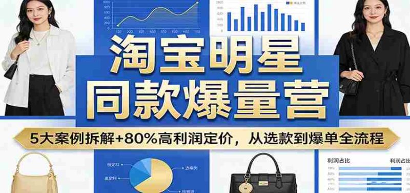淘宝明星同款爆量营：5大案例拆解+80%高利润定价，从选款到爆单全流程-OG资源站