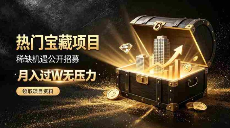 稀缺宝藏项目公开招募，低风险入局解锁月入过1W+机会【揭秘】-OG资源站