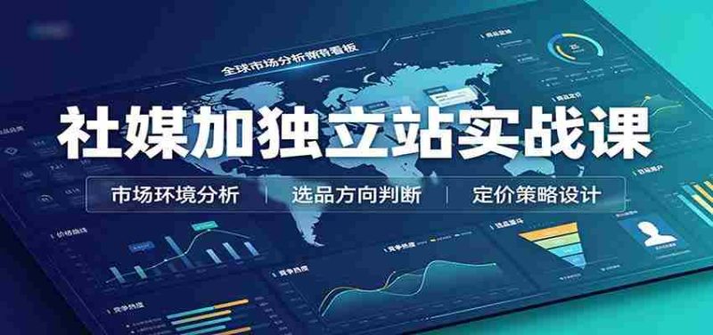 社媒加独立站实战课：市场环境选品定价，社媒运营建站，私域网红营销教学-OG资源站