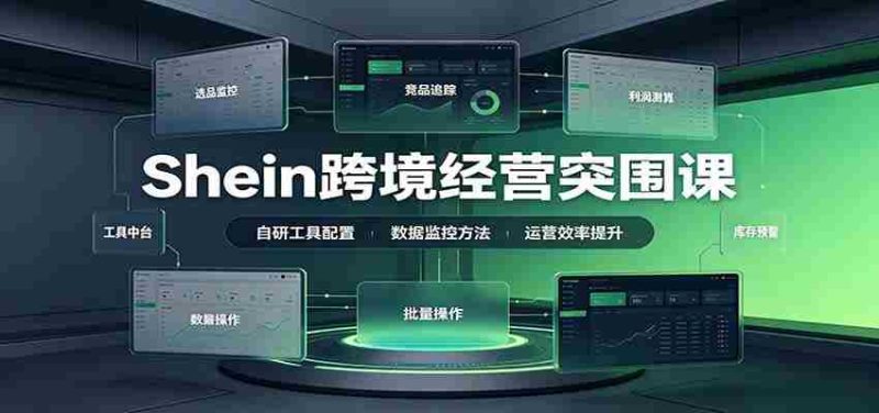 Shein跨境经营突围课：选品测品运营优化，自研工具赋能，破解单量与利润增长困境-OG资源站