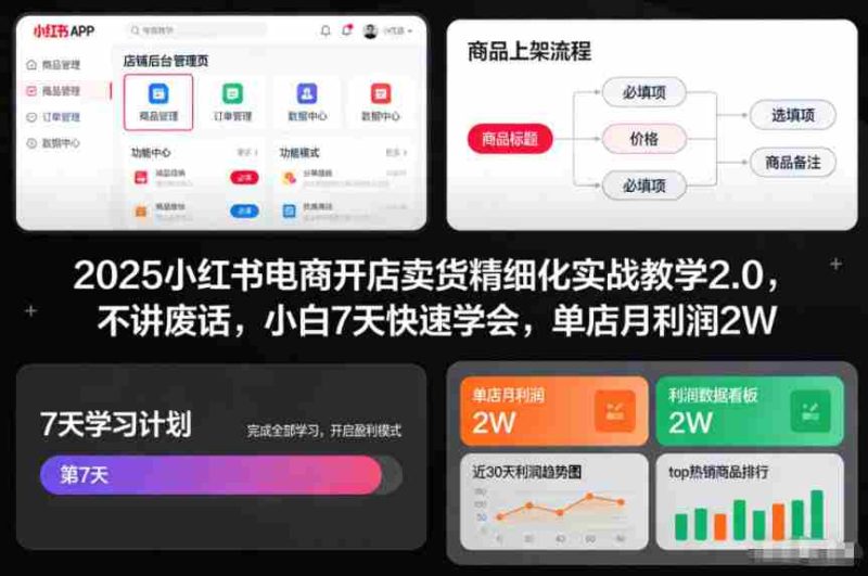 2025小红书电商开店卖货精细化实战教学2.0，不讲废话，小白7天快速学会，单店月利润2W-OG资源站