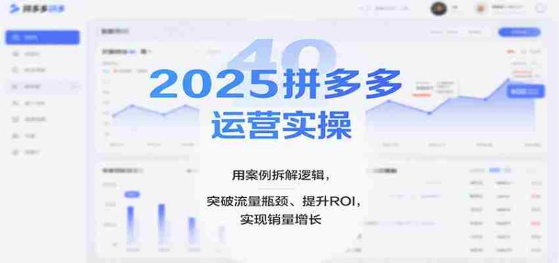 2025拼多多运营实操,用案例拆解逻辑,突破流量瓶颈、提升ROI,实现销量增长(更新)-OG资源站