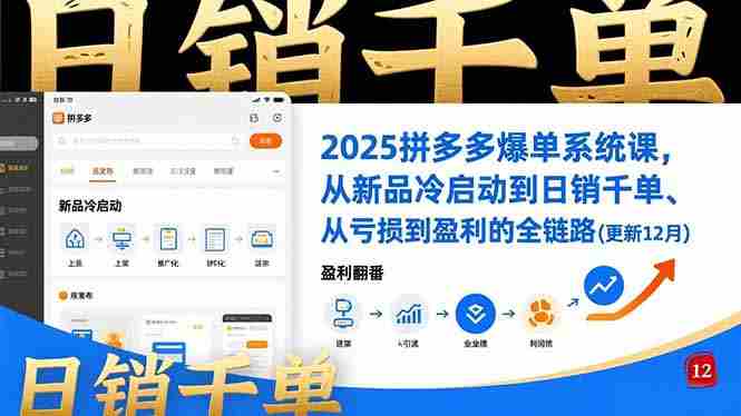 （16894期）2025拼多多爆单系统课，从新品冷启动到日销千单、从亏损到盈利的全链路（更新12月）-OG资源站