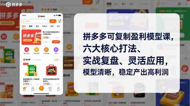 (16952期)拼多多可复制盈利模型课,六大核心打法、实战复盘、灵活应用,模型清晰,稳定产出高利润-OG资源站