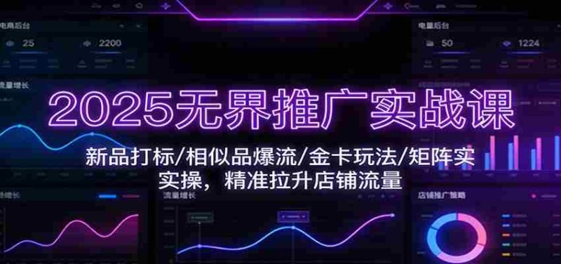 2025无界推广实战课:新品打标/相似品爆流/金卡玩法/矩阵实操,精准拉升店铺流量-OG资源站