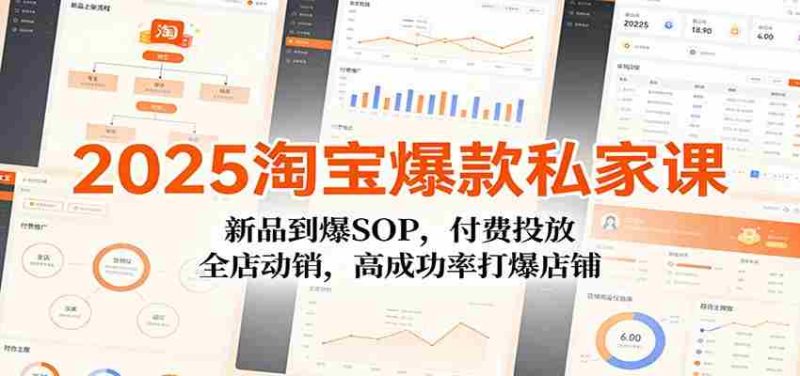 2025淘宝爆款私家课:新品到爆SOP,付费投放,全店动销,高成功率打爆店铺-OG资源站