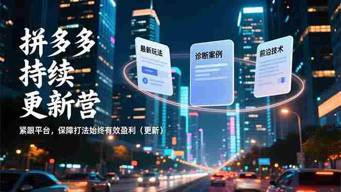 (16987期)拼多多持续更新营,最新玩法、诊断案例、前沿技术,紧跟平台,保障打法始终有效盈利(更新)-OG资源站