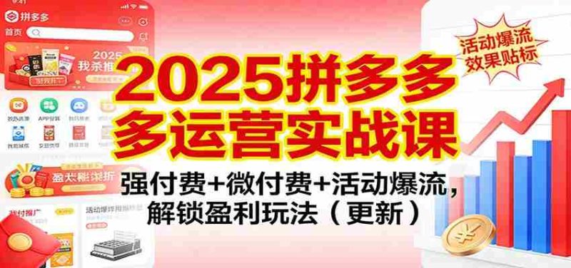 2025拼多多运营实战课:强付费+微付费+活动爆流,解锁盈利玩法(更新)-OG资源站