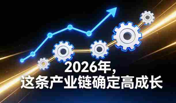付费文章：2026年，这条产业链确定高成长-OG资源站