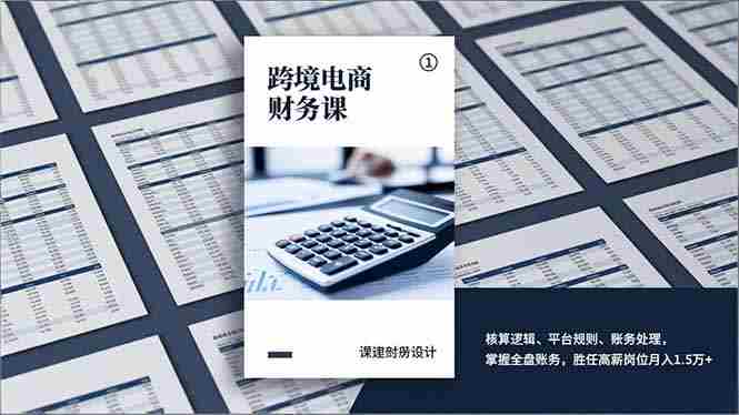 (17036期)跨境电商财务课,核算逻辑、平台规则、账务处理,掌握全盘账务,胜任高薪岗位月入1.5万+-OG资源站