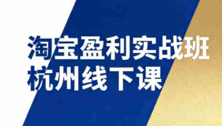 淘宝盈利实战班杭州线下课12月26-28日（音频+字幕），帮你掌握SOP流程+12门核心技术-OG资源站