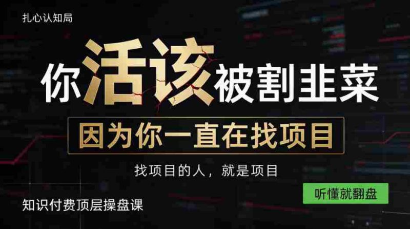 知识变现胜过亲自操盘，自主创业从知识付费开始，揭秘顶尖知识付费策略课，一课听懂，翻身在望-OG资源站