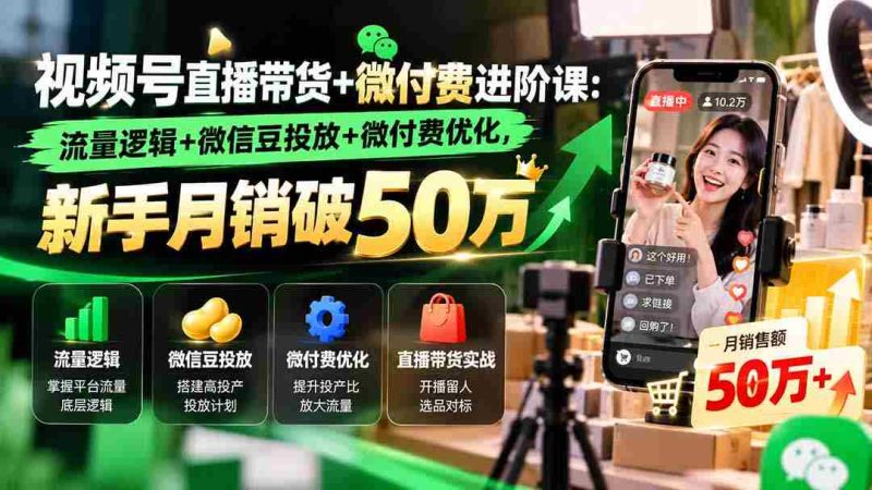 视频号直播带货+微付费进阶课-更新1010:流量逻辑+微信豆投放+微付费优化,新手月销破50万-OG资源站