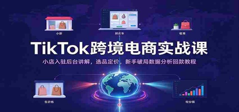 TikTok跨境电商实战课：小店入驻后台讲解，选品定价，新手破局数据分析回款教程-OG资源站