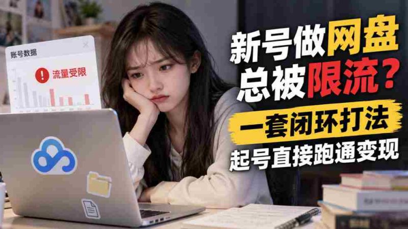 突破网盘限流困境，掌握高效闭环策略，轻松起号实现盈利-OG资源站