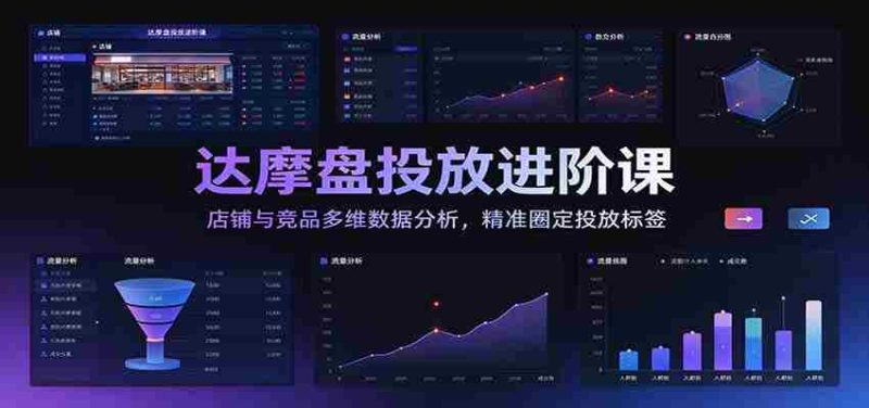 深度解析达摩盘投放高级课程：全方位店铺及竞品数据洞察，助力精准定位广告标签-OG资源站