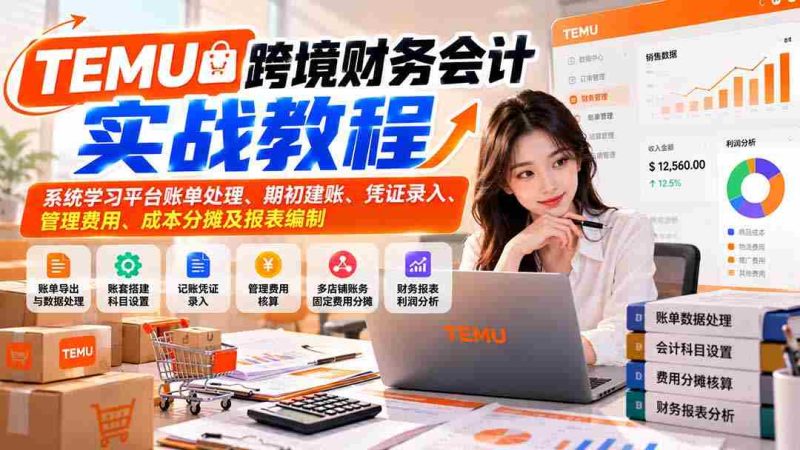 TEMU跨境财务会计实战教程：系统学习平台账单处理、期初建账、凭证录入、管理费用、成本分摊及报表编制-OG资源站
