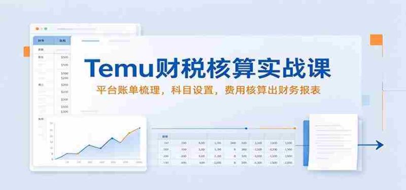 揭秘Temu财税实操秘籍：高效梳理平台账单，精准科目设置，轻松编制财务报表-OG资源站