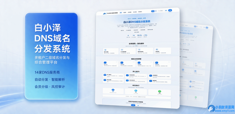 白小泽DNS域名分发系统 公测版 v1.0.0-OG资源站